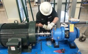 TRAINING ONLINE ALIGNMENT AND BALANCING IN ROTATING EQUIPMENT