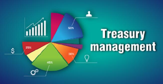 TRAINING ONLINE TREASURY MANAGEMENT