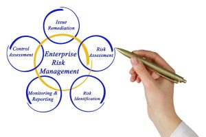 TRAINING ONLINE AUDITING THE ENTERPRISE RISK MANAGEMENT ERM PROCESS